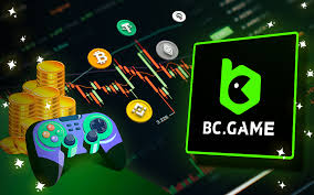 Understanding BC Fun Legal Key Concepts and Guidelines
